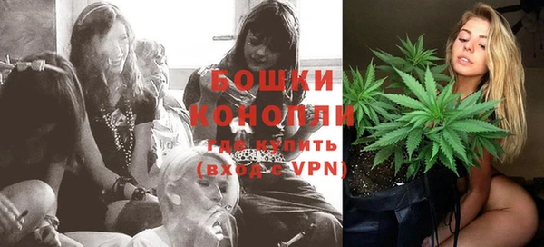 дживик Балахна